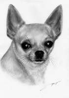 /album/danguole-serstinskaja-un-dibujo-de-tu-mascota-con-alma/imatge-emmarcar-8-jpg/